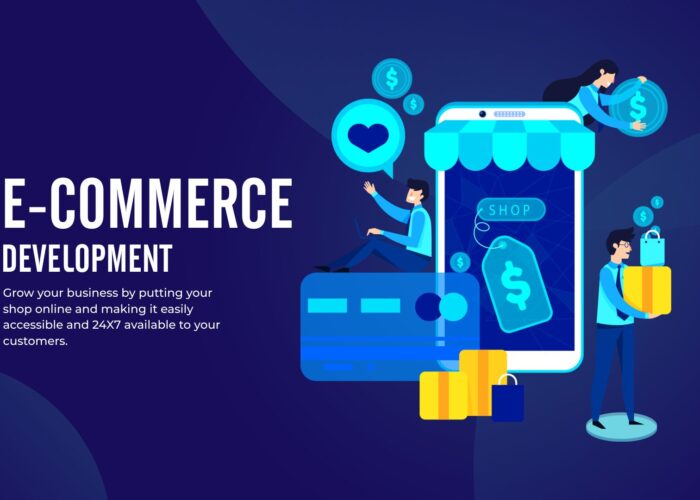Custom E-Commerce Platform